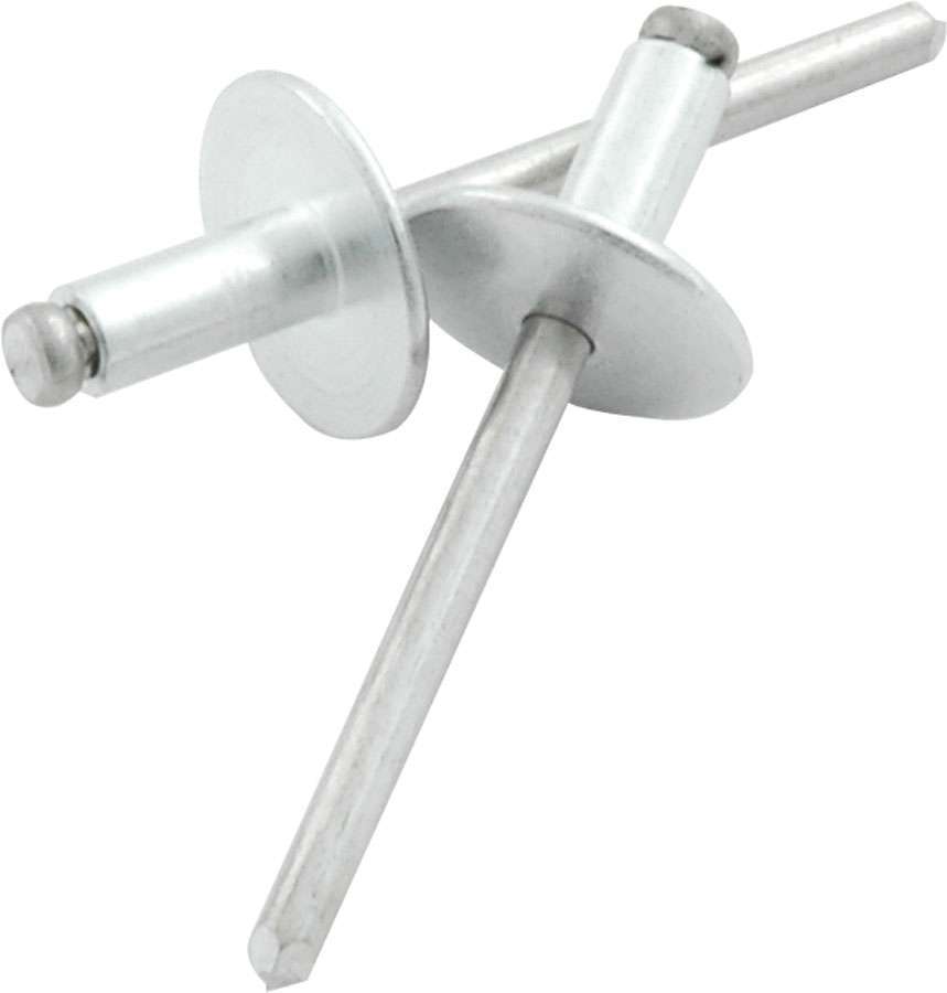Allstar Performance - Lg Hd Rivet Silver 250Pk