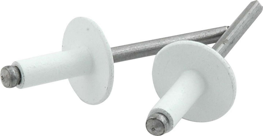 Allstar Performance - Lg Hd Rivet 250Pk White