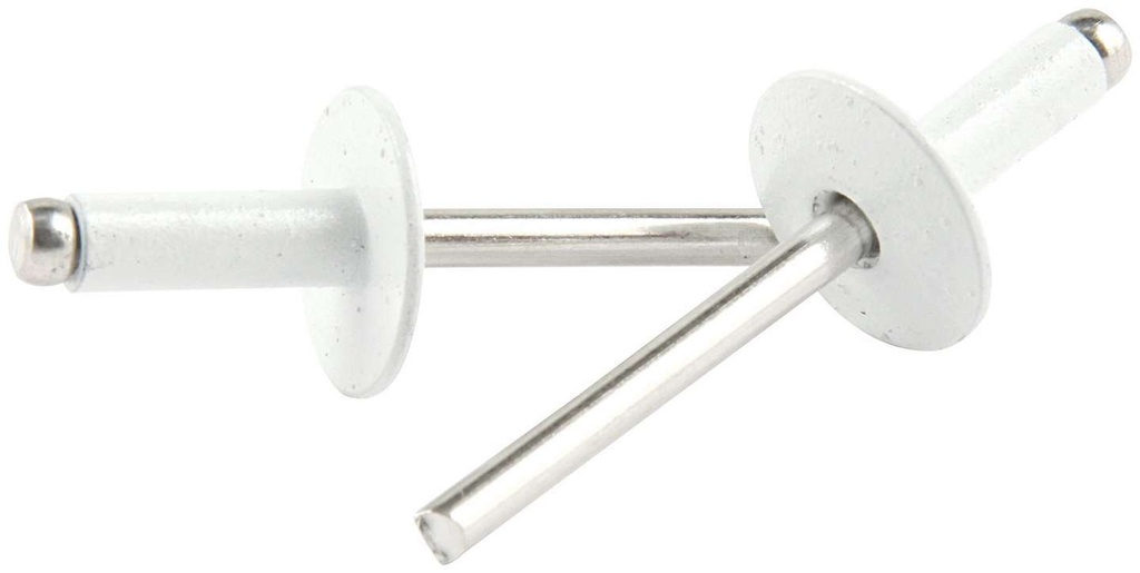 Allstar Performance - Lg Hd Rivet White Alum 250pk