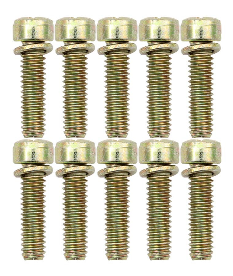 AED - Throttle Body Screws (10pk)