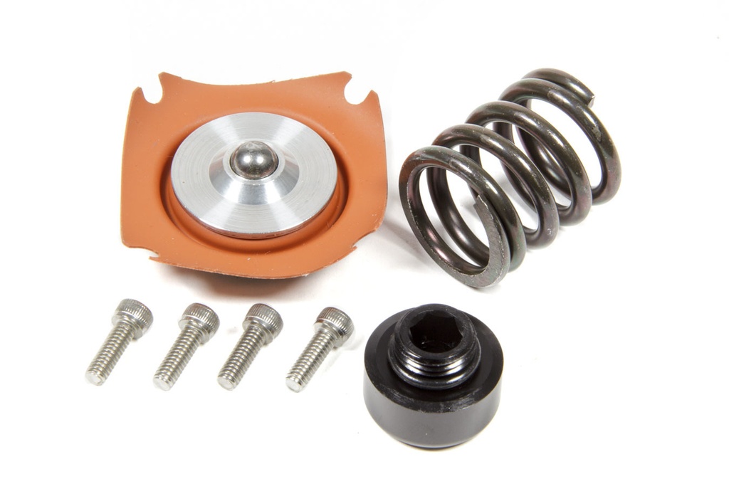 Aeromotive Regulator Rebuild Kit - 13305 35-75psi .313 Seat