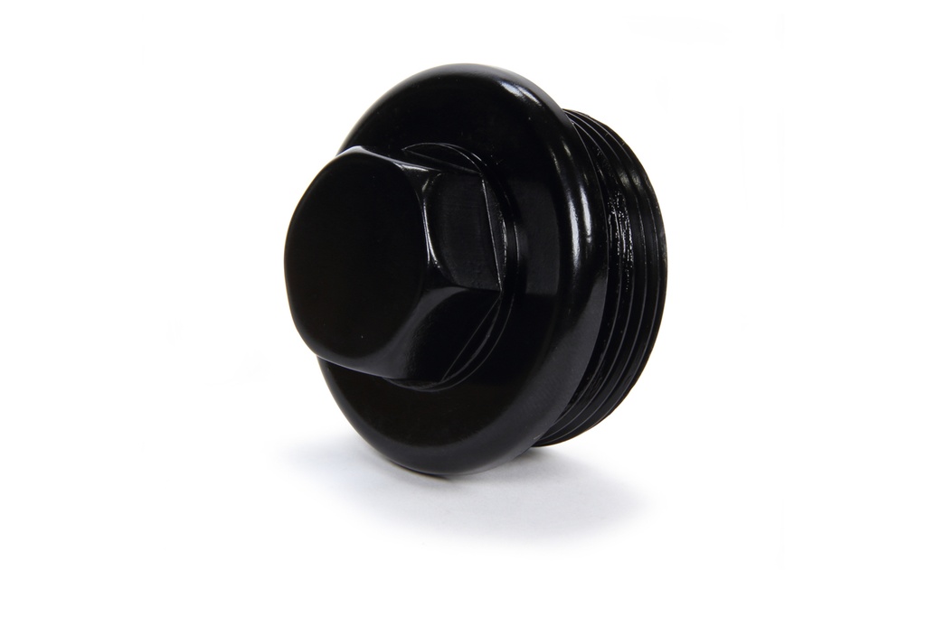 Winters - O-Ring Insp Plug 1-7/8in