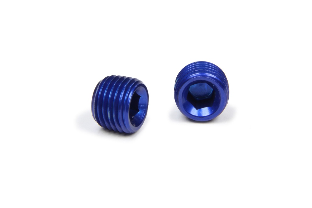 Xrp-Xtreme Racing Prod. - 1/4in Allen Head Pipe Plug (2pk)