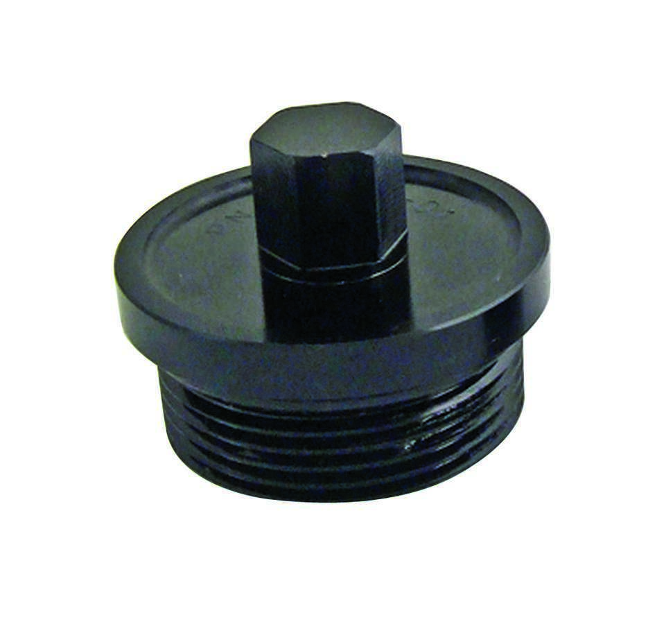 Winters - Inspection Plug Large 9/16 Hex