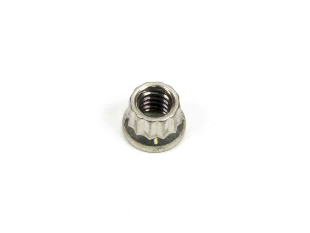 ARP - S/S 12pt. Nut - 1/4-20 (1)
