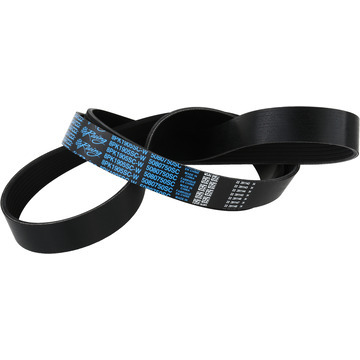 [DYC5080750SC] Dayco Products Llc - Supercharger Belt Cobra Mustang 03-04