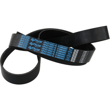 [DYC5100840SC] Dayco Products Llc - Supercharger Belt Mustang GT500