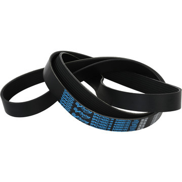 [DYCA080851SC] Dayco Products Llc - Supercharger Belt Zo6/Zr 1 Corvette