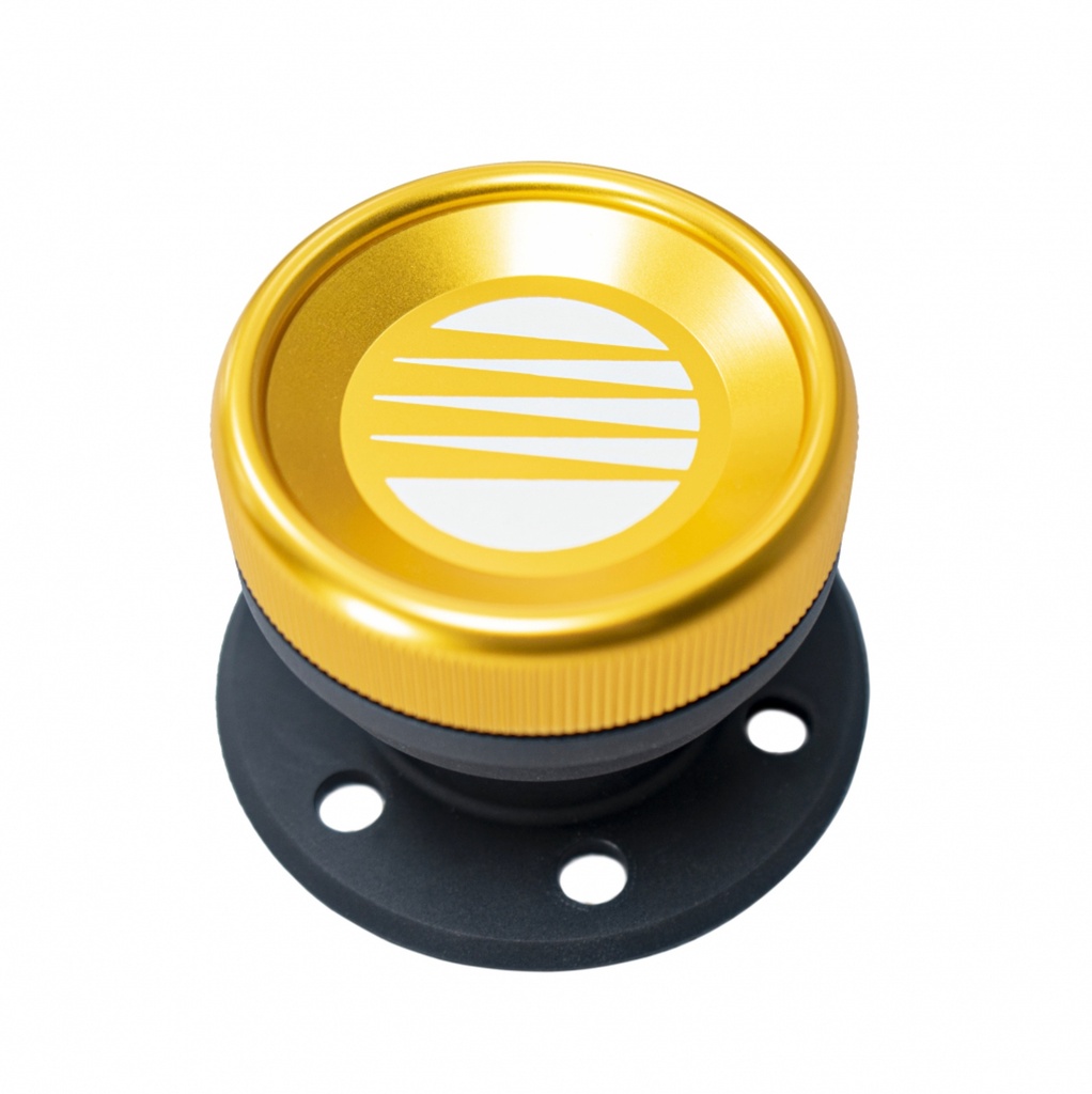 Fuelab Fuel Systems - Direct Fuel Fill With Cap