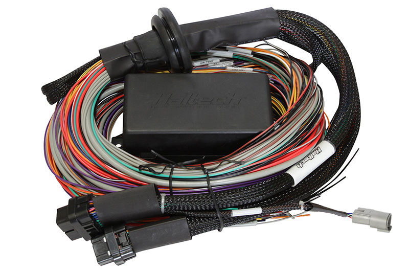 Haltech - Elite 2500 Premium Univ. Wire Harness