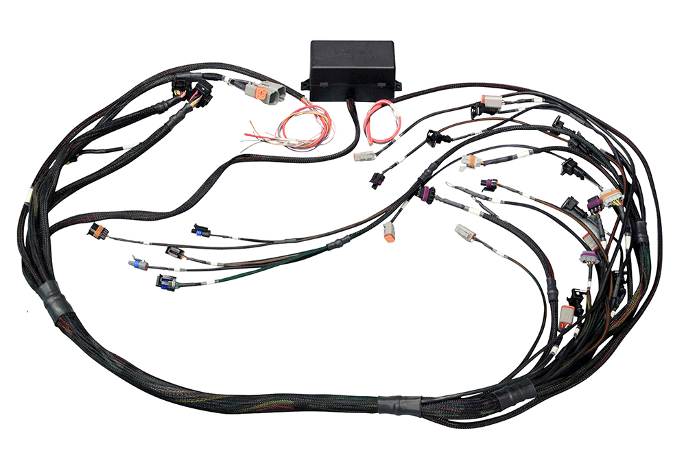 Haltech - Elite 2500 DBW Ready Terminated Wire Harness