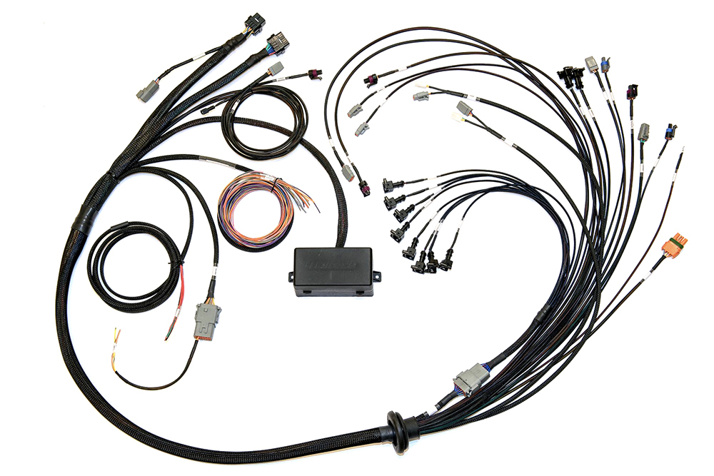 Haltech - Elite 2000/2500 EV1 Terminated Wire Harness