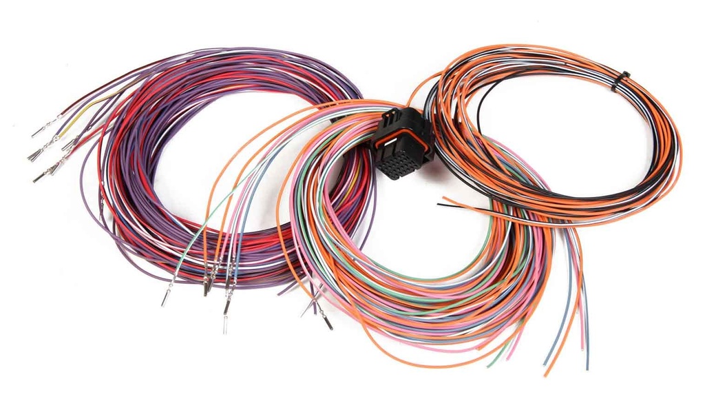 [HLY558-403] Holley - J3 Connector & Harness
