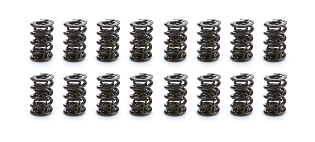 Isky Cams - 1.600 Triple Valve Spring Set (16)