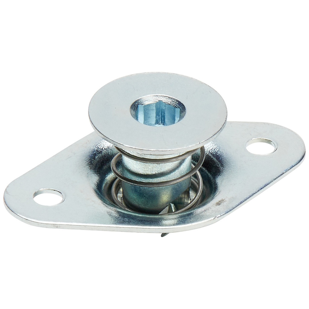 [ALL19130] Allstar Performance - Allen Hd S/E Fasteners 5/16 .500in 10pk Steel