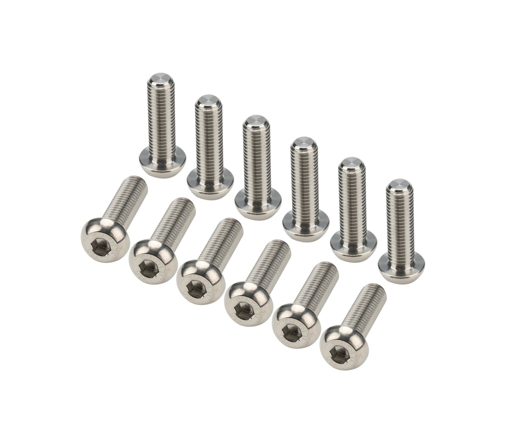 Allstar Performance - Fuel Tank Top Plate Fastener Kit Titanium