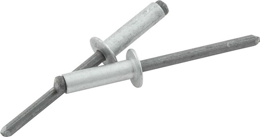 [ALL18105] Allstar Performance - Sm Hd Rivet Silver 250pk