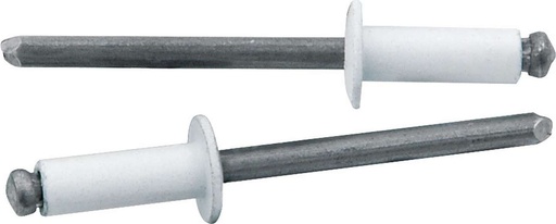 [ALL18114] Allstar Performance - Sm Hd Rivet White 250pk