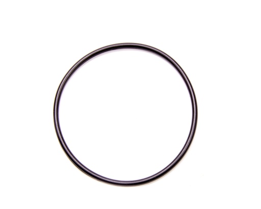 [DMIRRC-1004] CT1 O-Ring For Seal Plate Flange