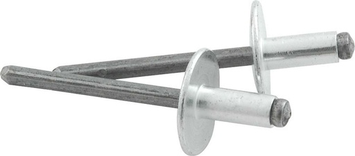 [ALL18141] Allstar Performance - Lg Hd Rivet Silver 250pk