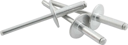 [ALL18153] Allstar Performance - Lg Hd Rivet 250Pk Silver