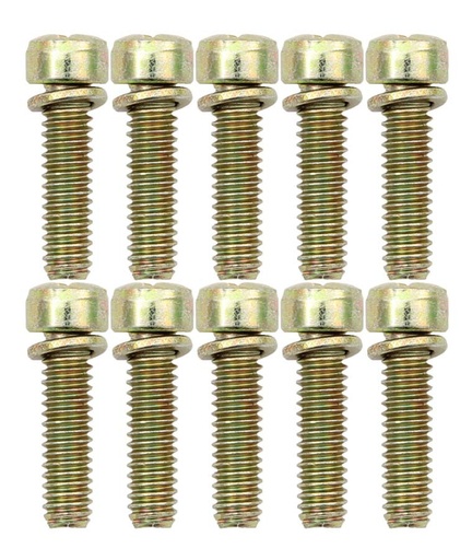 [AED6224X] AED - Throttle Body Screws (10pk)