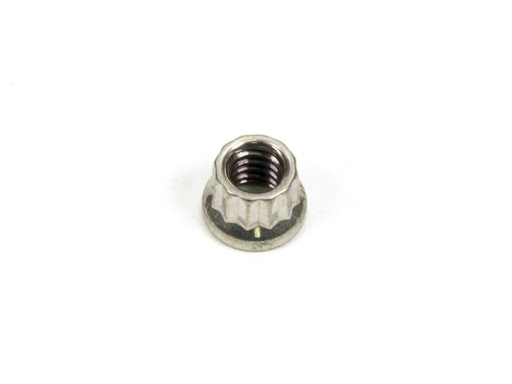 [ARP401-8300] ARP - S/S 12pt. Nut - 1/4-20 (1)